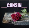 __CANSIN__ okey profil